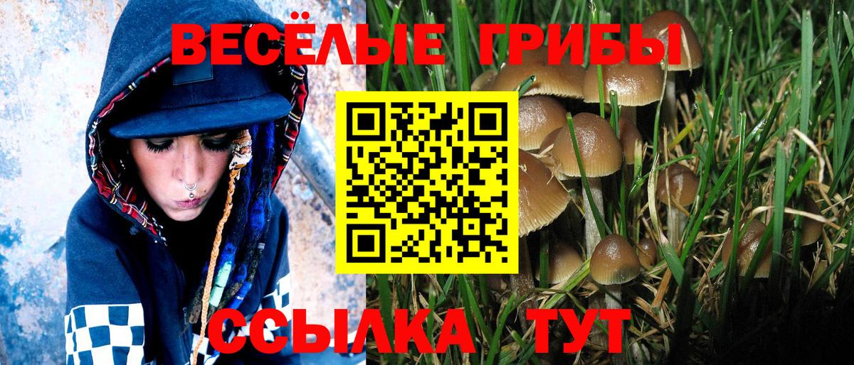 Псилоцибиновые грибы GOLDEN TEACHER Удомля
