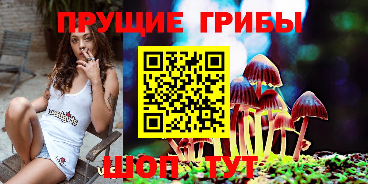 Галлюциногенные грибы MAGIC MUSHROOMS  Вход с VPN  Удомля 